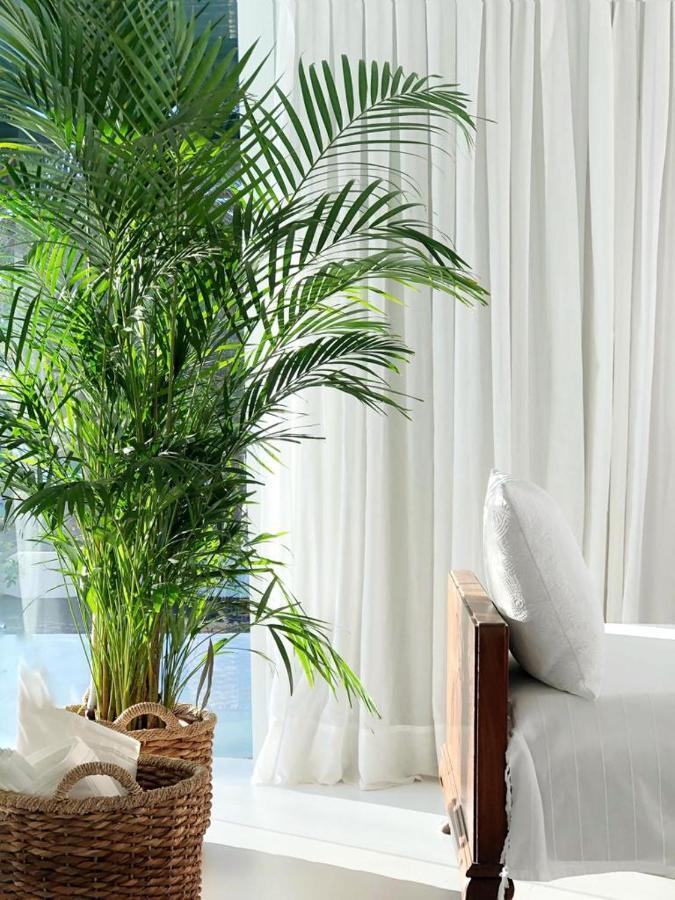 Casa Tamatina By Mhousing Apartment Playa Blanca  Luaran gambar